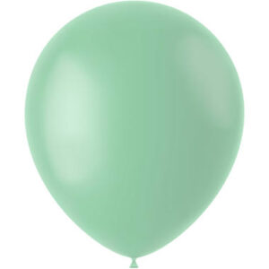 Ballon Powder Pistache Mat 33 cm, 10st.