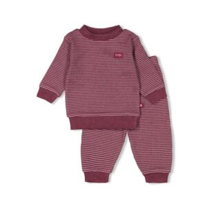 Lokaal 5 | Hasselt Boek en Kado 11 Feetje Pyjama wafel wine limited edition